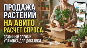 Как запустить продажи комнатных растений и саженцев на Авито: расчет сезонного спроса и особенности упаковки для доставки