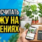 Как рассчитать маржу при продаже комнатных растений на Авито: учет рисков гибели товара при транспортировке