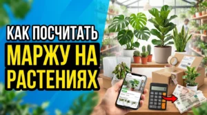 Как рассчитать маржу при продаже комнатных растений на Авито: учет рисков гибели товара при транспортировке